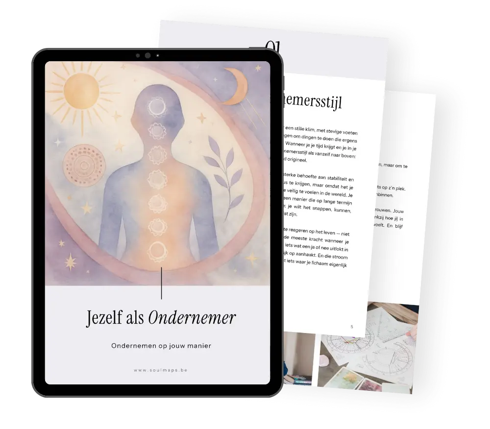 SoulMap Jezelf als Ondernemer
