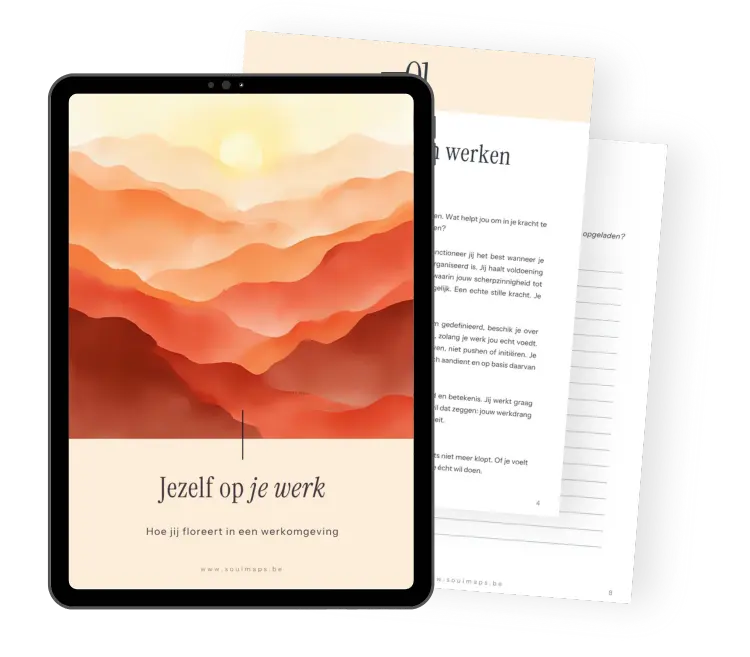 SoulMap - Jezelf in je werk